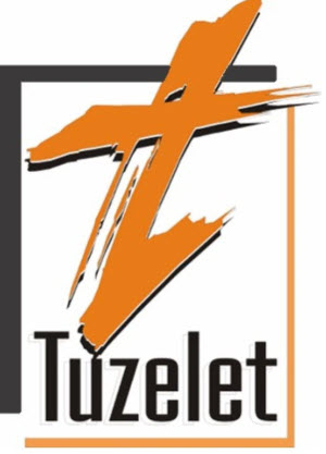 artisan peintre Tuzelet